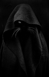 Годаринский Александр