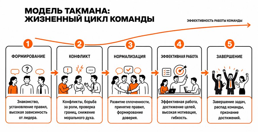 Модель Такмана включает пять этапов: команда может проходить их линейно или возвращаться к уже пройденным