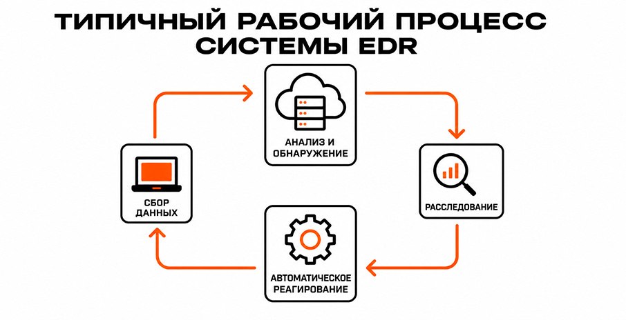 Работа EDR состоит из нескольких повторяющихся этапов